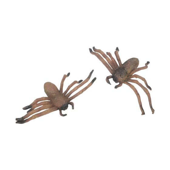Arachnophobia — Prop Spiders