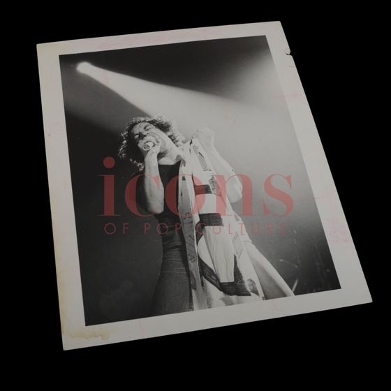 Photographs — Brian Johnson Concert Photograph