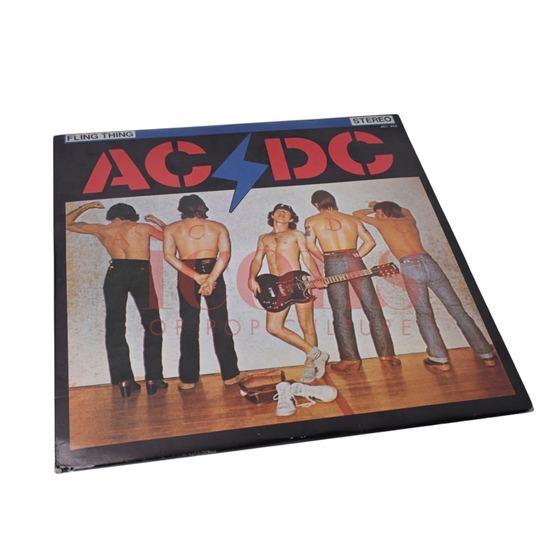 Records — Fling Thing Unofficial Double LP