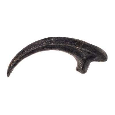 Raptor claw from Jurassic Park